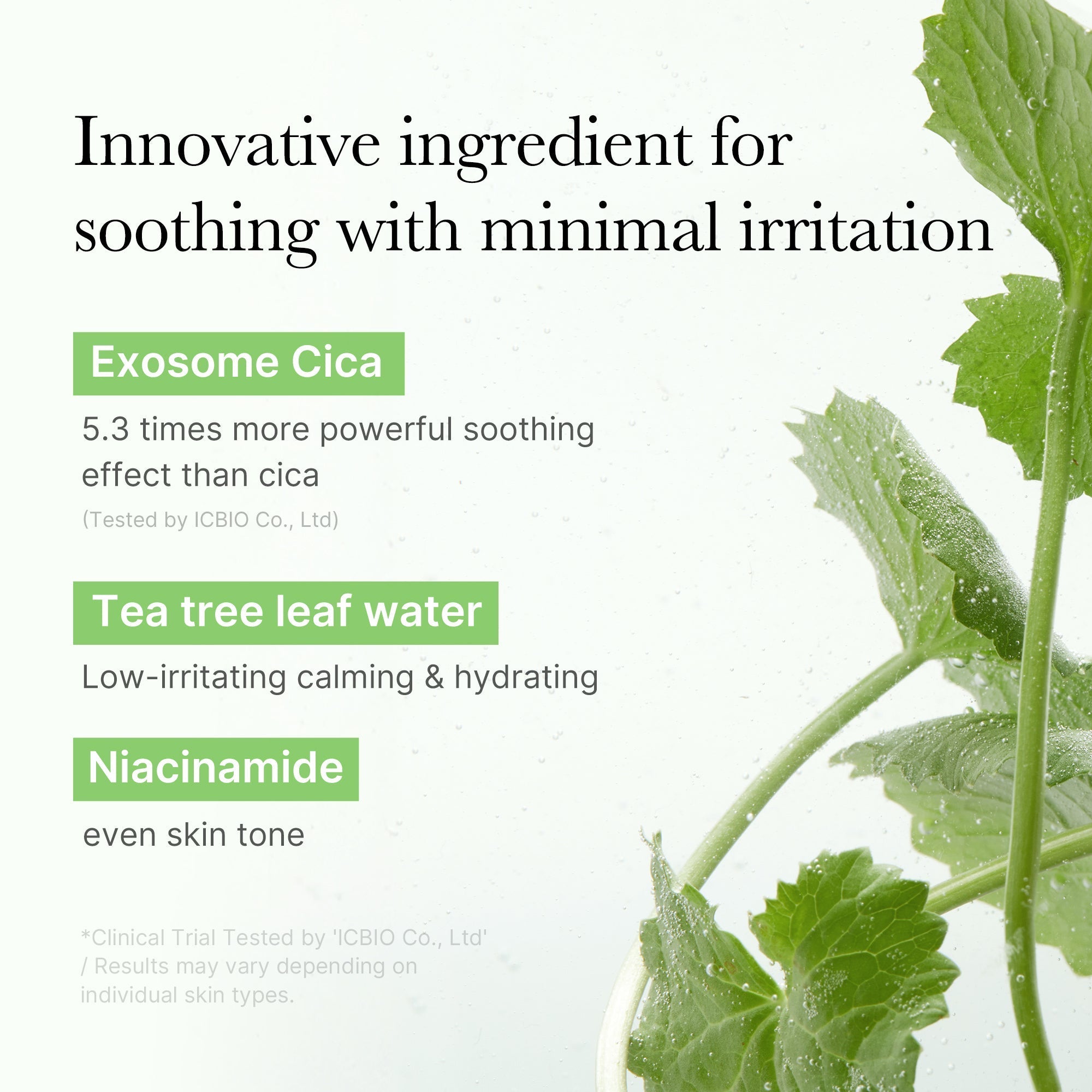 Exosome Cica Calming Toner Pads - Fresh Skin Essential