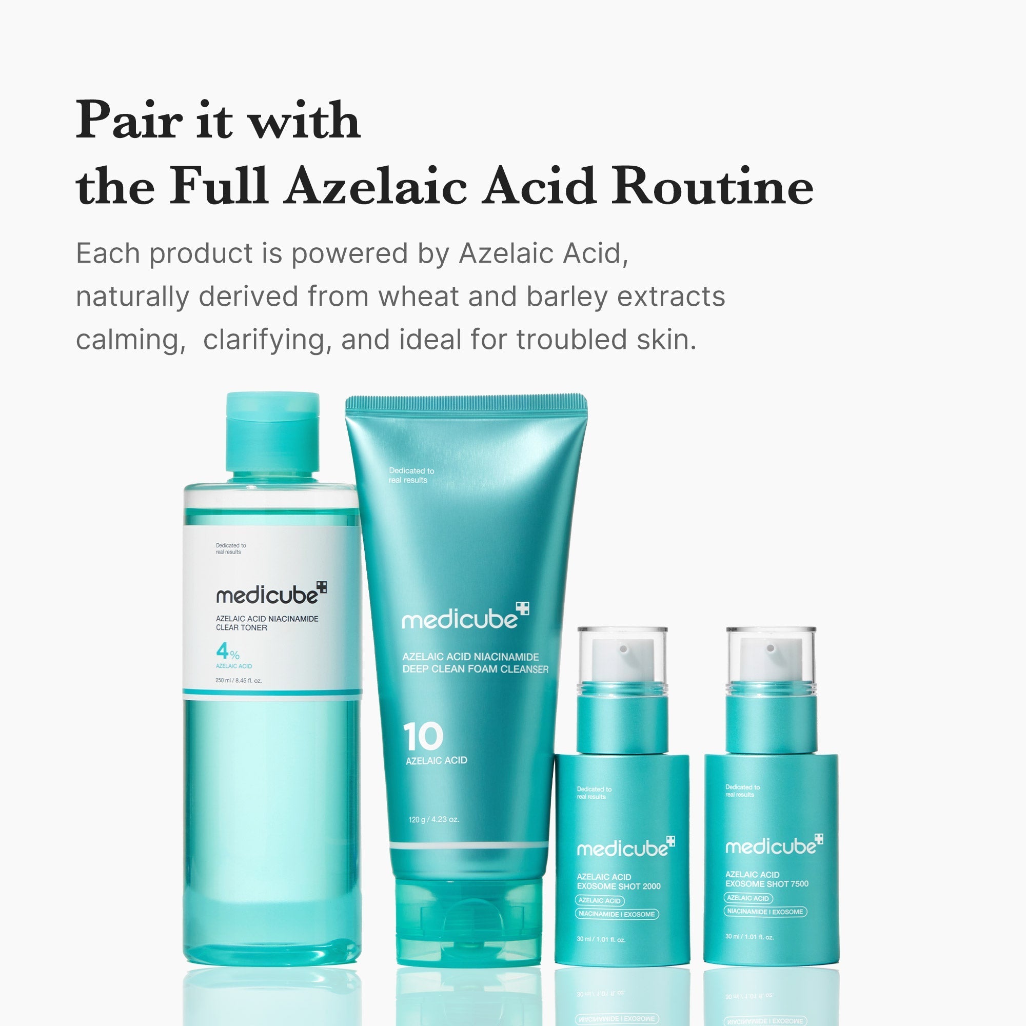 Azelaic Acid Niacinamide Clarifying Toner - Fresh Skin Favorites